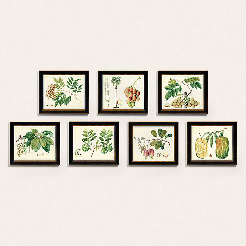 Botanical Art 44x22 x 38x22 T161219