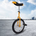 16in Unicycle One Wheel Balance Bicycle F84749