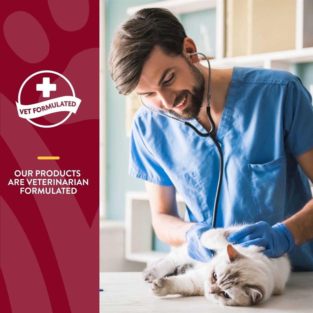 Cranberry Relief Plus Echinacea for Cats J900