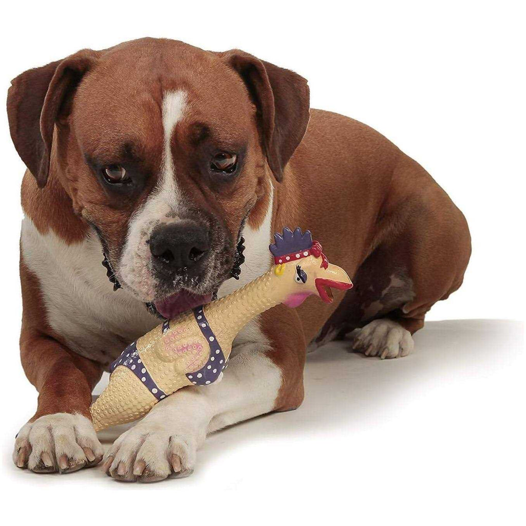 Chicken Dog Toy B882