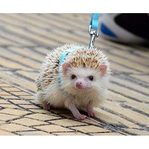 Adjustable Small Pet Harness Y89828