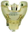 Bare Lamp Projector Bulb G232694
