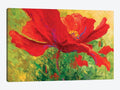 Red Poppy Canvas Art V244
