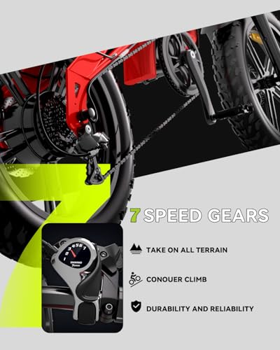 Electric Dirt Bike 20 inch Fat Tire 300+ lbs Heavy Duty Mountain Bicycle e-Bike D447