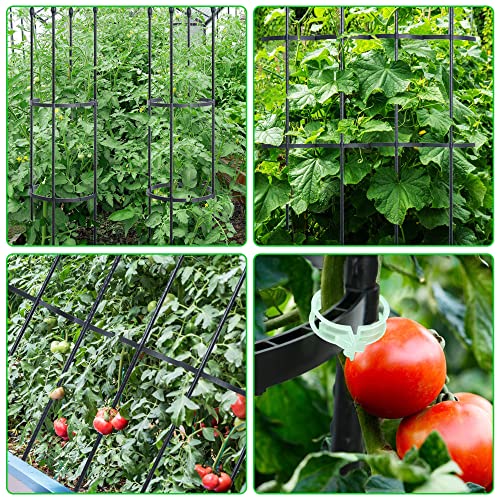 60" Tall Tomato Cage Plant Support with Plant Clips S2800