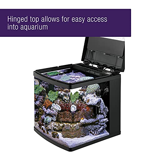 16 Gallon LED Aquarium Fish Tank Kit Z836
