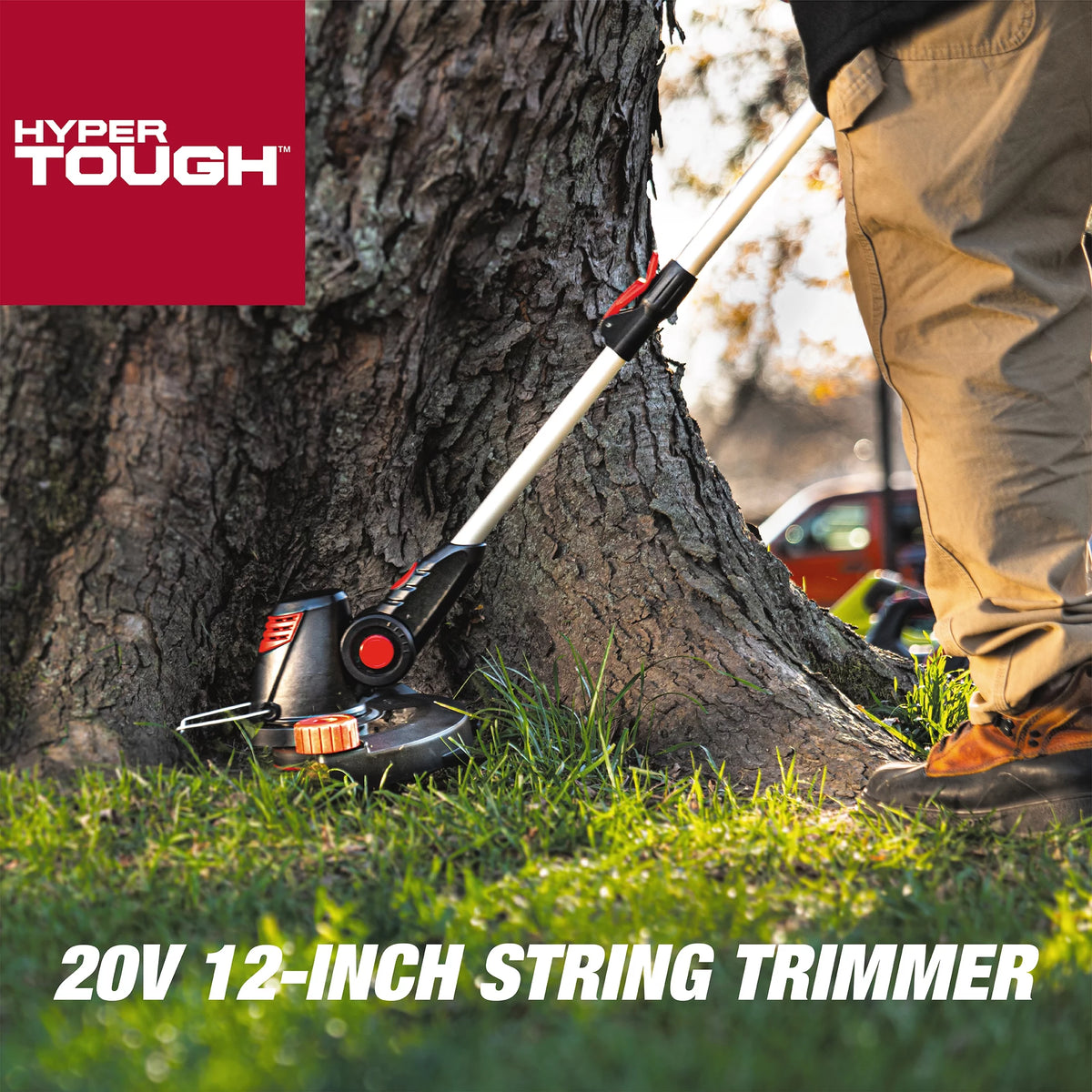 Cordless 12-inch String Trimmer F254