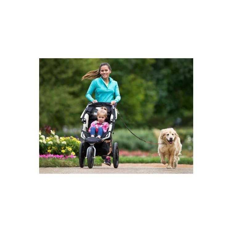 Hands Free Dog Leash D1613