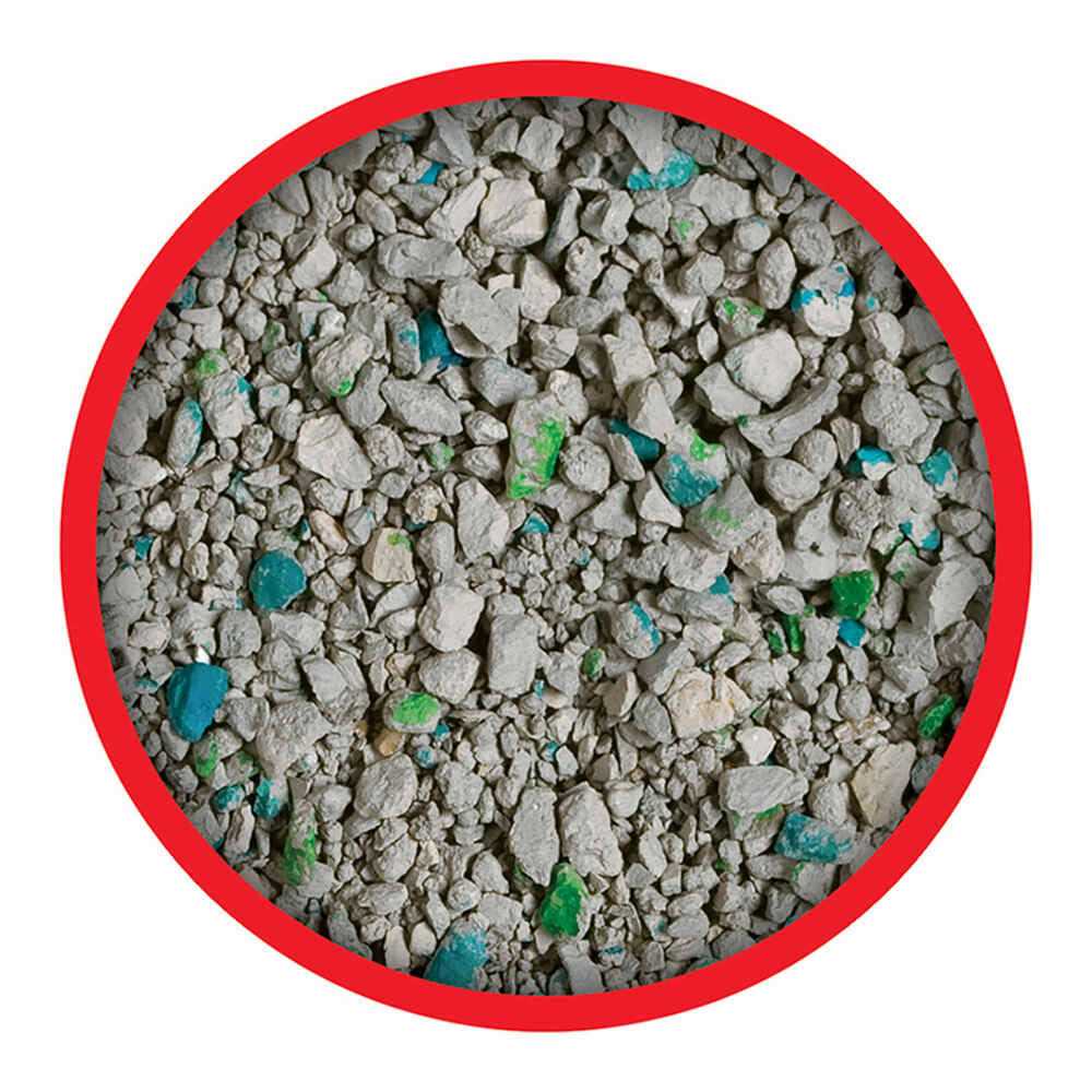 Non Clumping Cat Litter L741