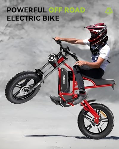 Electric Dirt Bike 20 inch Fat Tire 300+ lbs Heavy Duty Mountain Bicycle e-Bike D447
