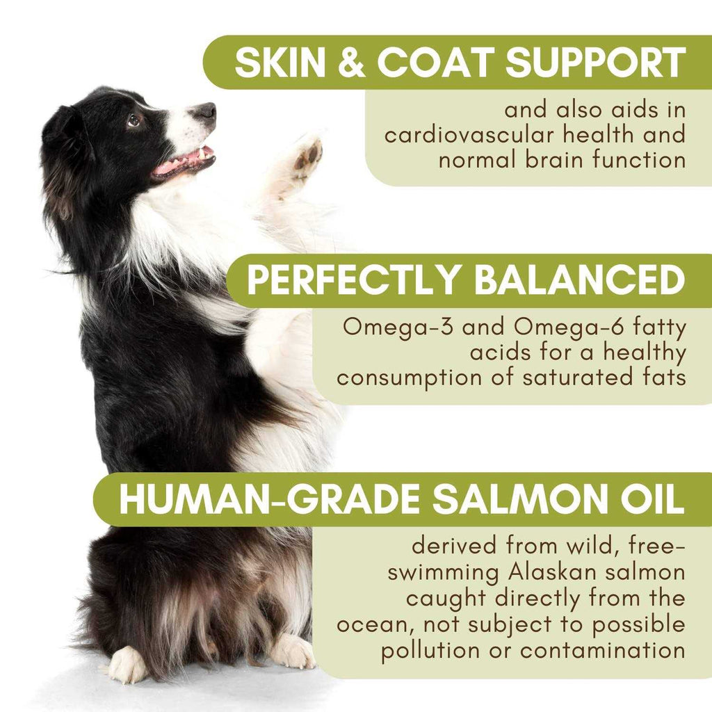 Salmon Oil C42114