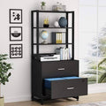 2 Drawer Lateral File Cabinet with Lock Q683