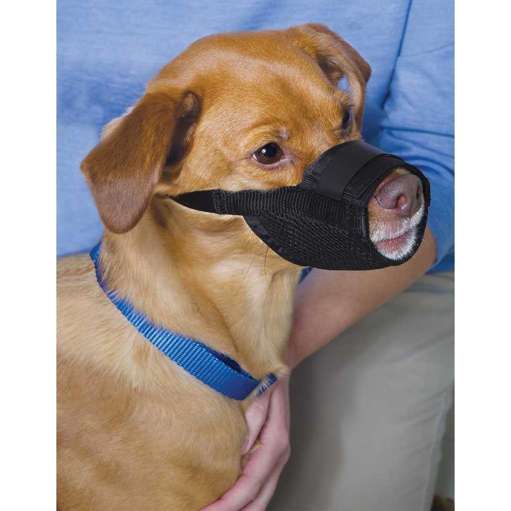 Dog Muzzle K7890