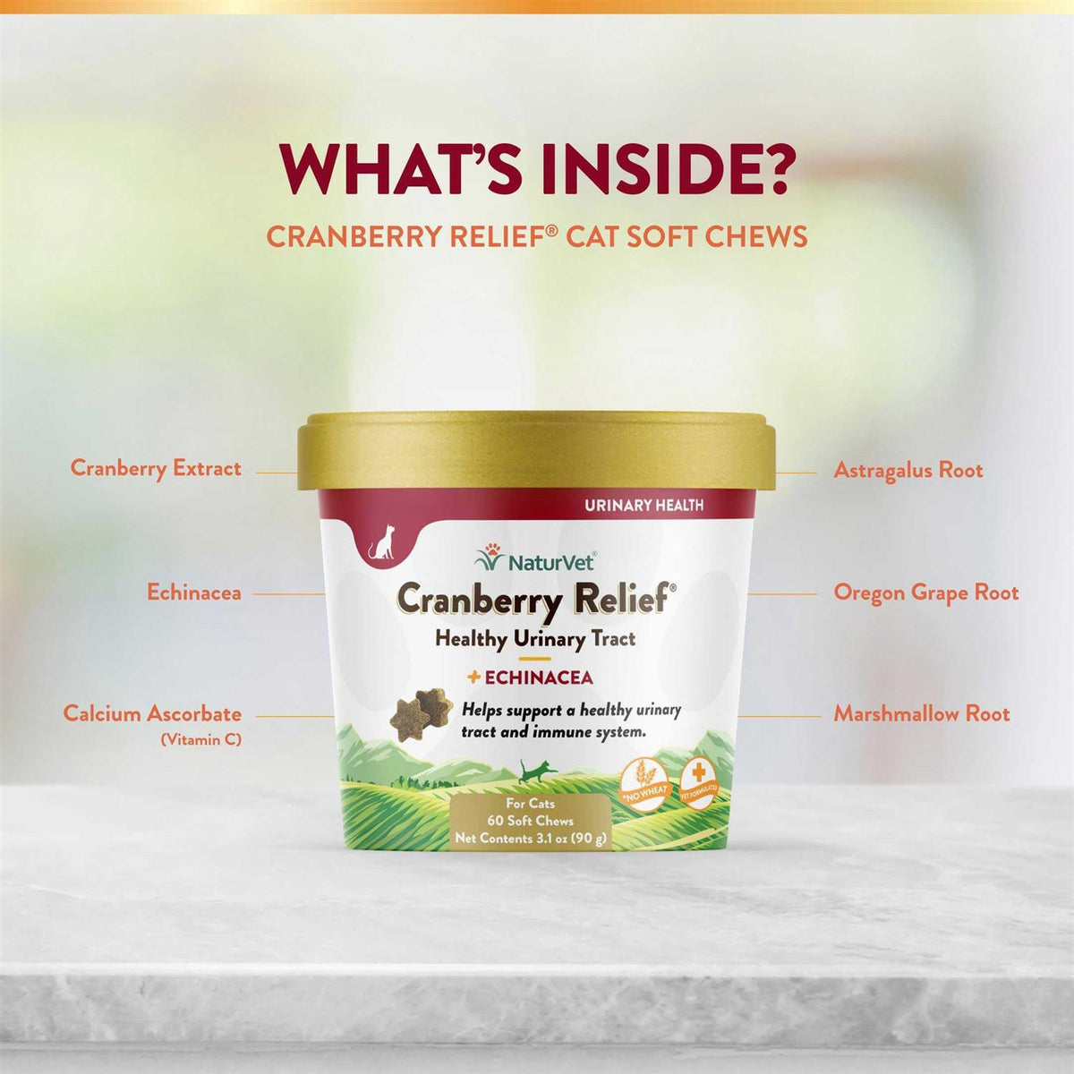 Cranberry Relief Plus Echinacea for Cats J900