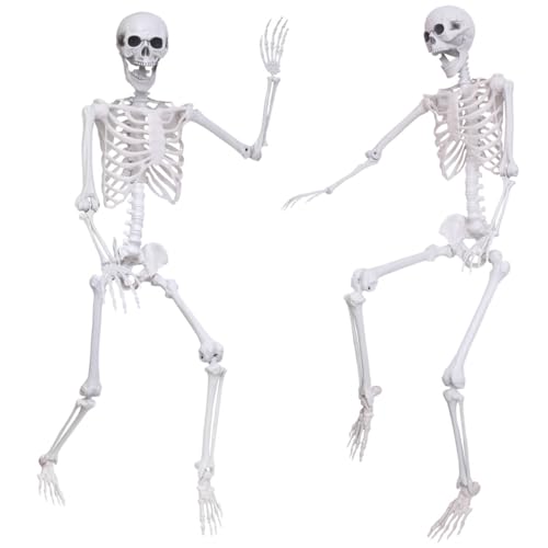 5.4Ft 2PCS Posable Skeleton with Movable Joints W76732