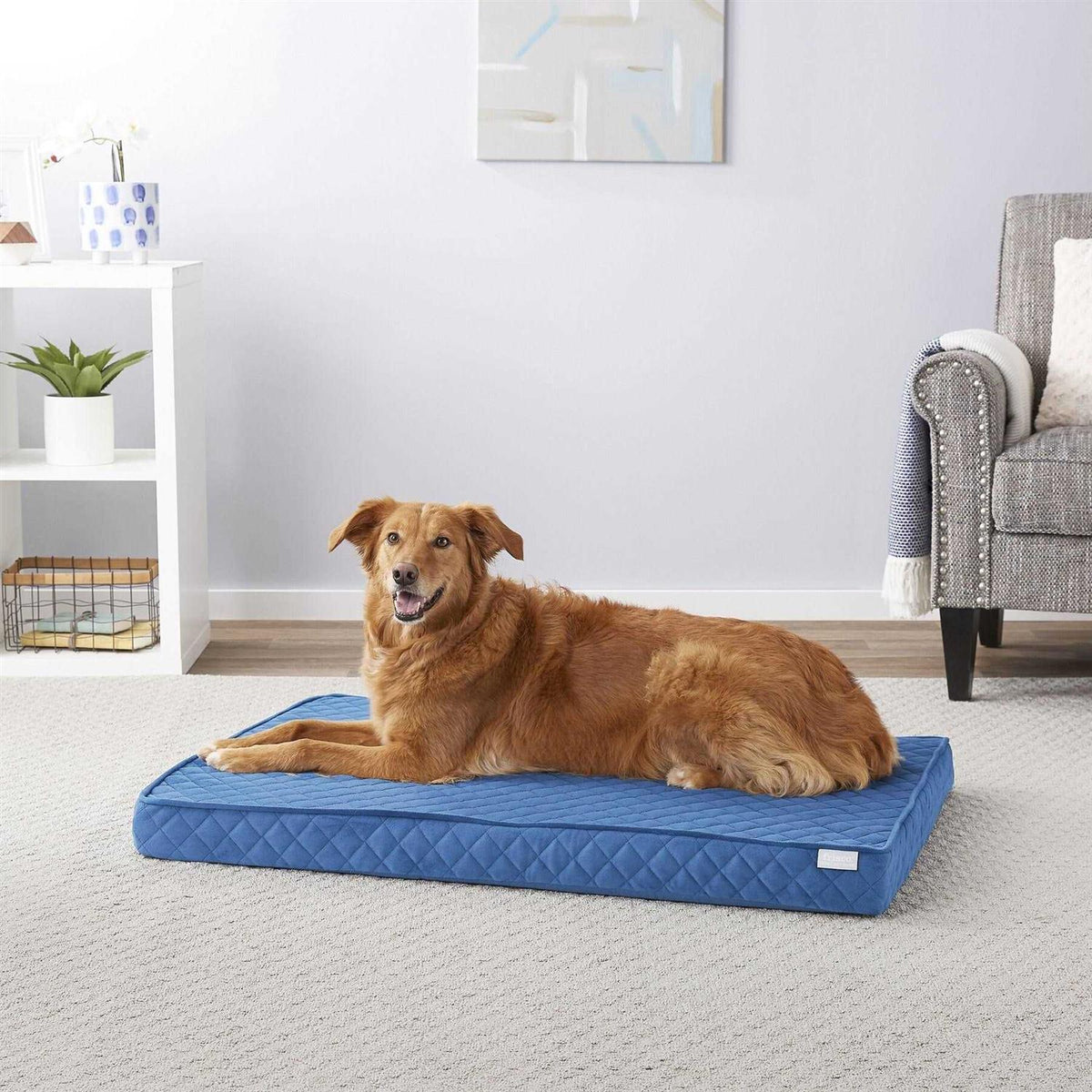 Quilted Orthopedic Cat Dog Bed with Removable Cover X369679