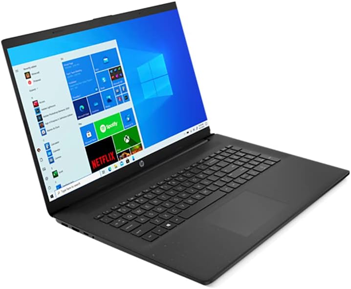 AMD Athlon Gold 3150U 16GB RAM 128GB PCIe SSD + 1TB HDD 17.3 HD+ Laptop B996