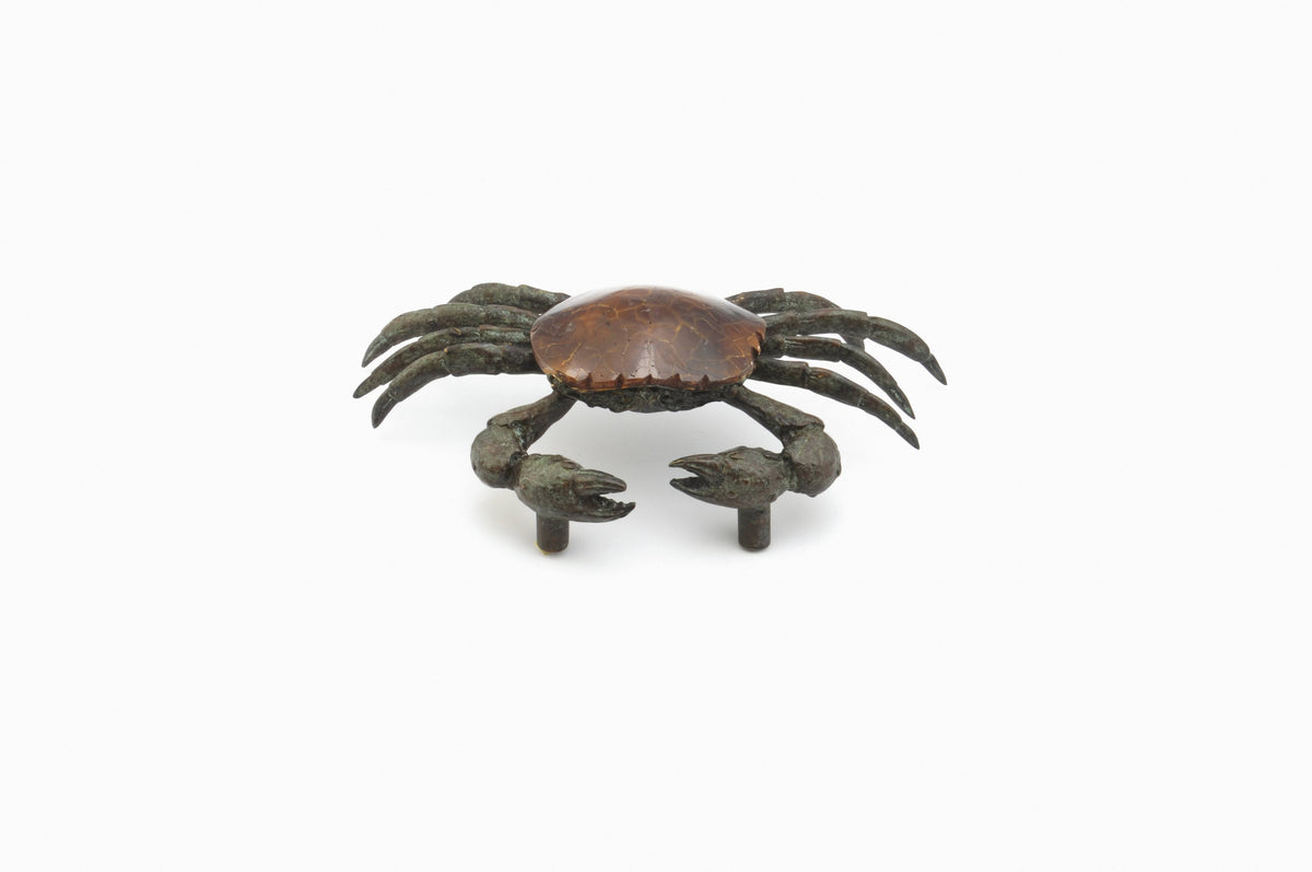 Tiger Penshell Pull Z50902