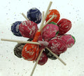 Tootsie Roll Pops 32oz Suckers Chocolate Chewy Center Candy B873