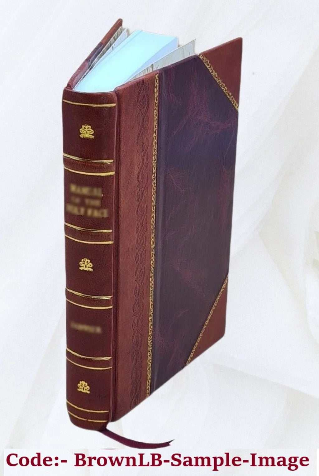 Life and Labors of Justin Edwards Leather Bound N262281