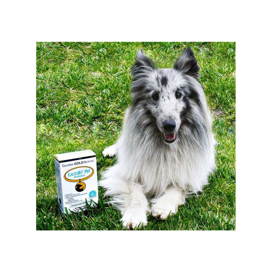 Pet Probiotics R973044
