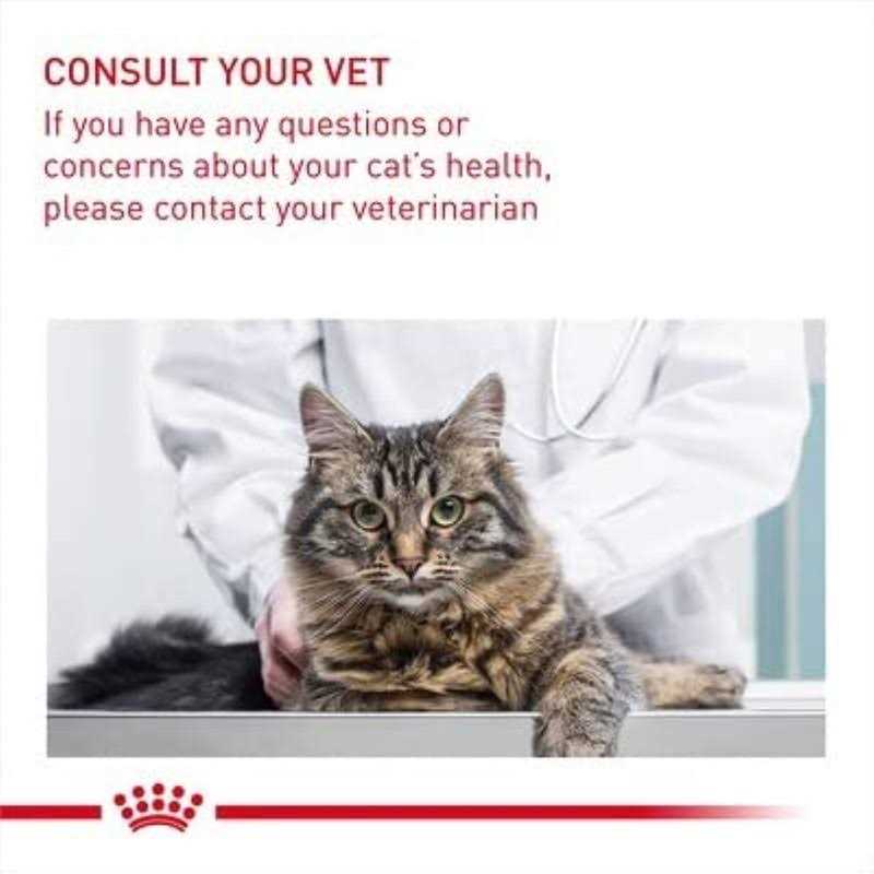 Wet Cat Food R726183