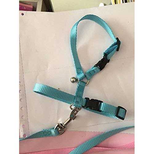 Adjustable Small Pet Harness Y89828