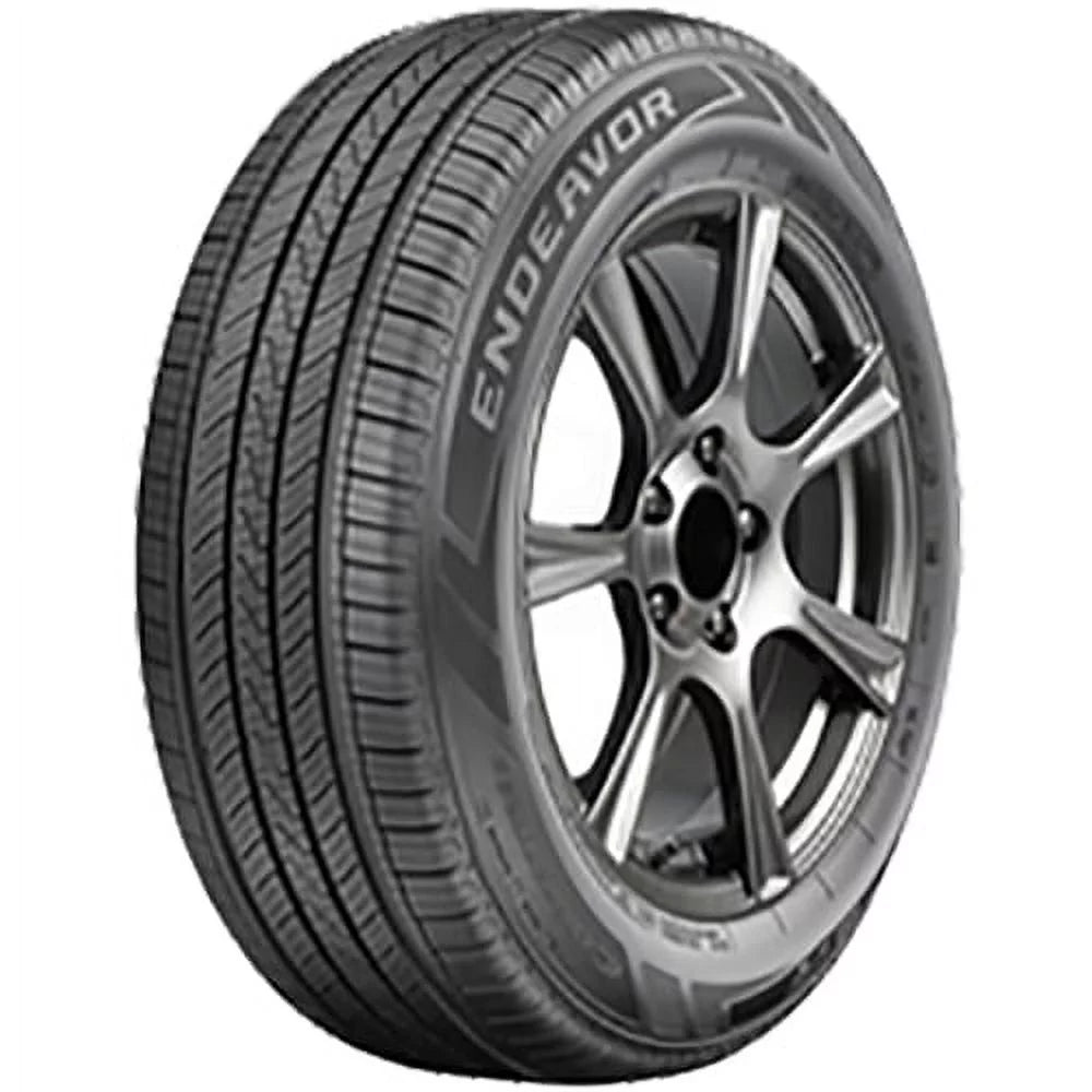 225/50R17 98V XL All Season Tires Set of 4 N61460