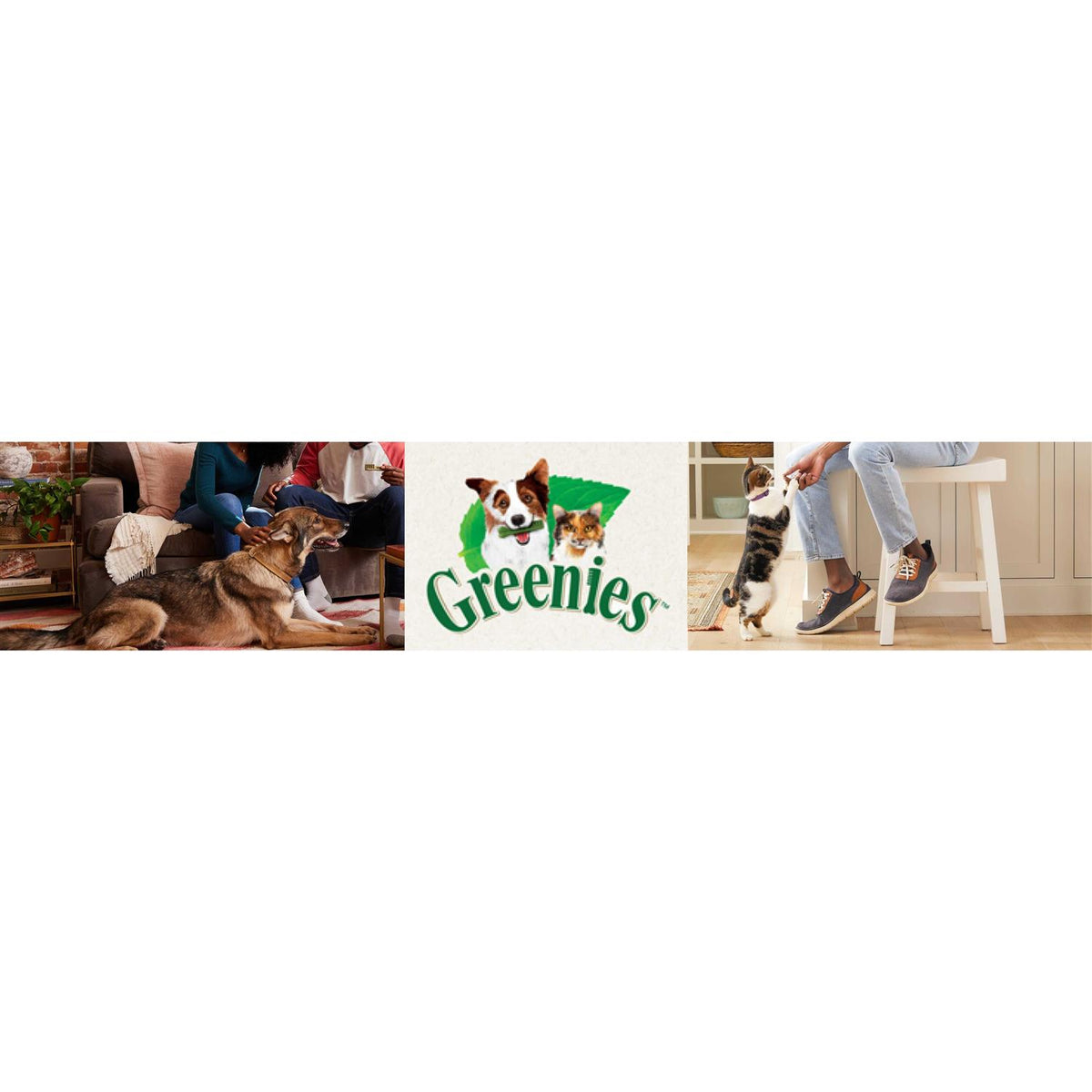 Dental Dog Treats R835