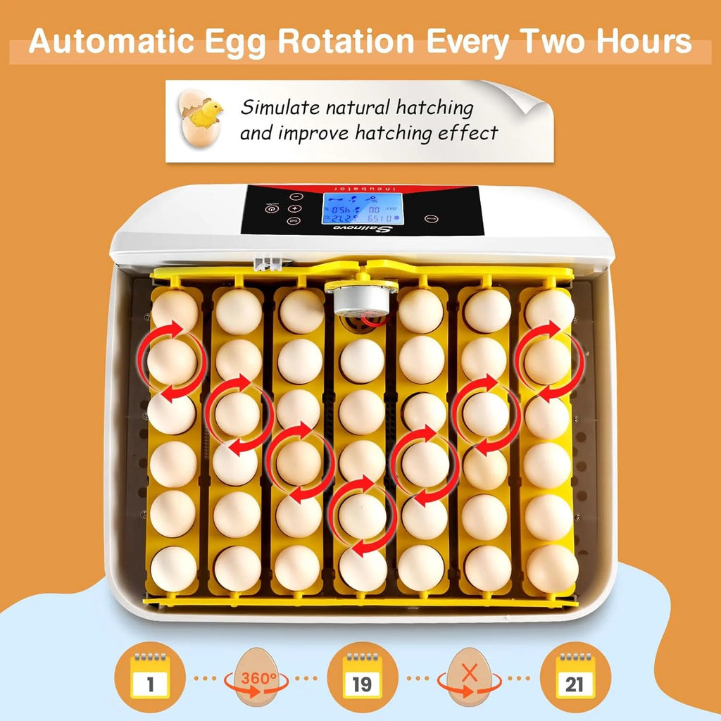 Automatic Egg Incubator with Humidity Control for Chickens S717894