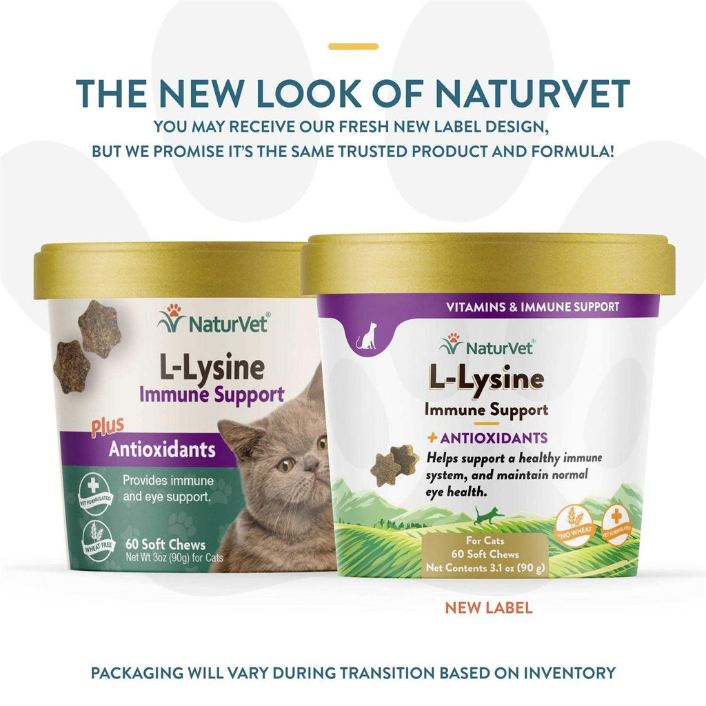 L-Lysine Immune Support Plus Antioxidants W3935