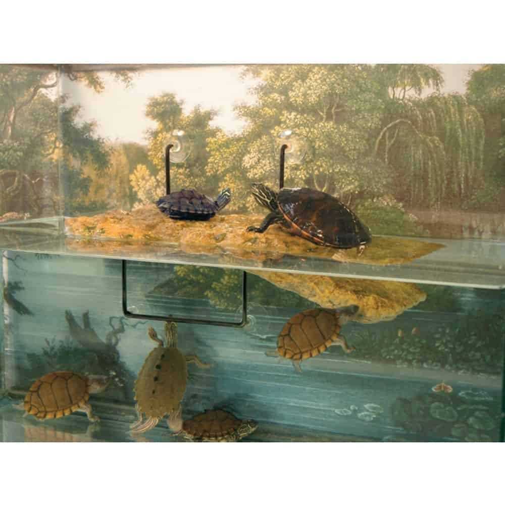 Turtle Dock Z263