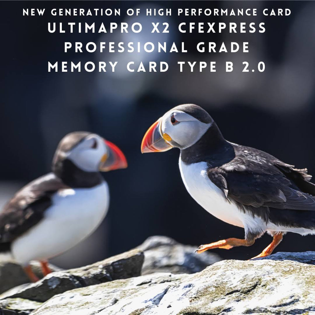 256GB CFexpress Memory Card I89878