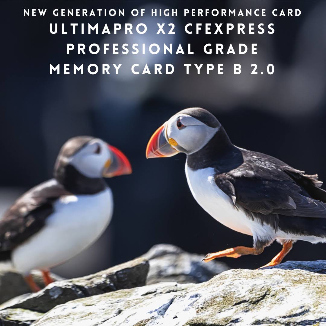 256GB CFexpress Memory Card I89878