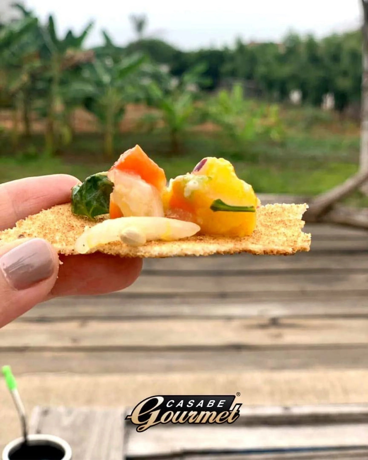 3 Pack Cassava Bread Natural Flavor Vegan H715