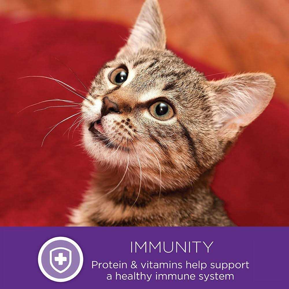 Natural Grain Free Gravy Cat Food Pouch E389017