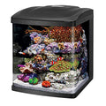16 Gallon LED Aquarium Fish Tank Kit Z836