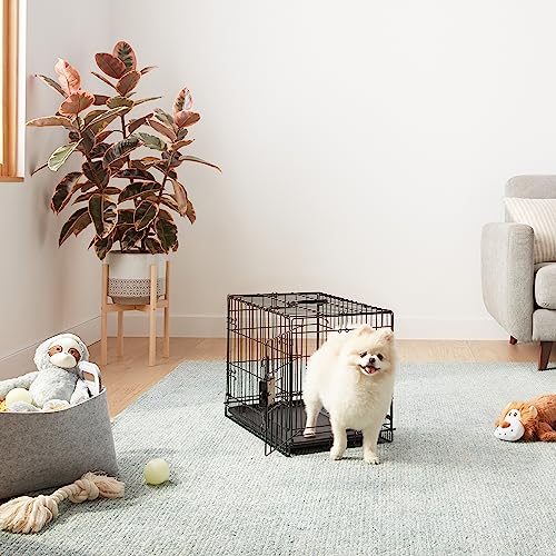Foldable Metal Wire Dog Crate with Tray, 48 x 30 x 32.5 in, Black Y6052