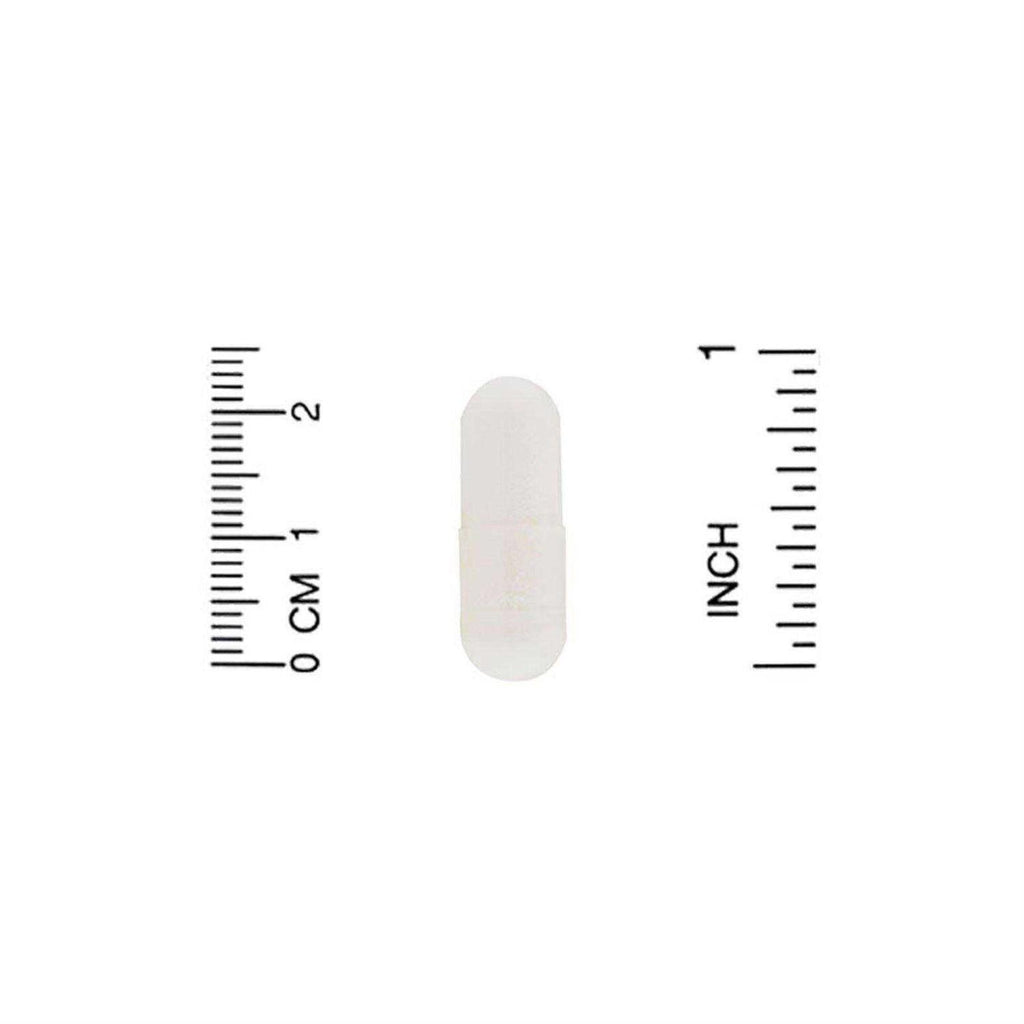 Pet Probiotics R973044