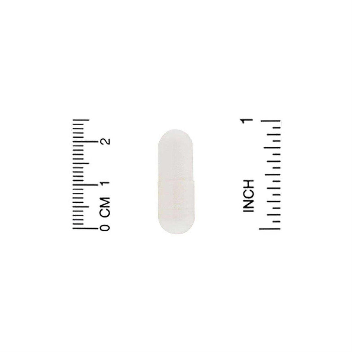 Pet Probiotics R973044
