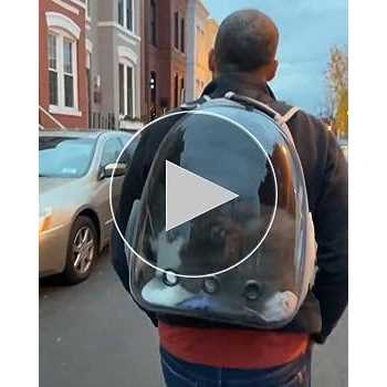 Pet Carrier Backpack L19960