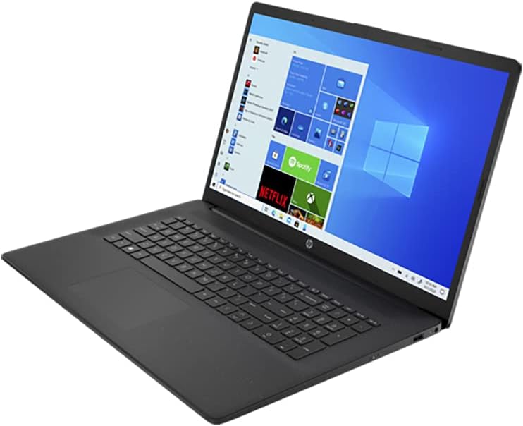 AMD Athlon Gold 3150U 16GB RAM 128GB PCIe SSD + 1TB HDD 17.3 HD+ Laptop B996