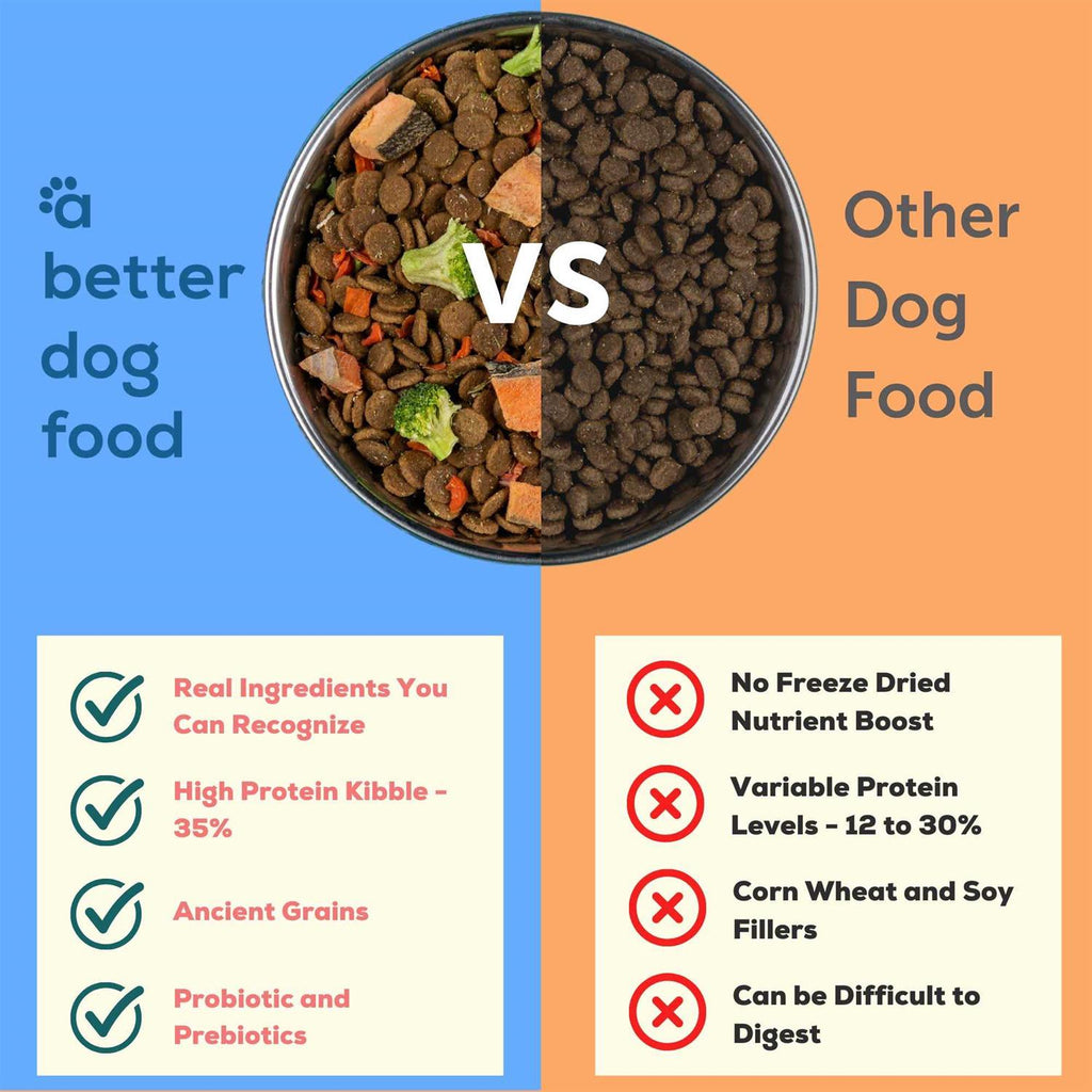 Salmon Raw Dog Food N895820
