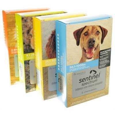 Sentinel Spectrum for Dogs J423