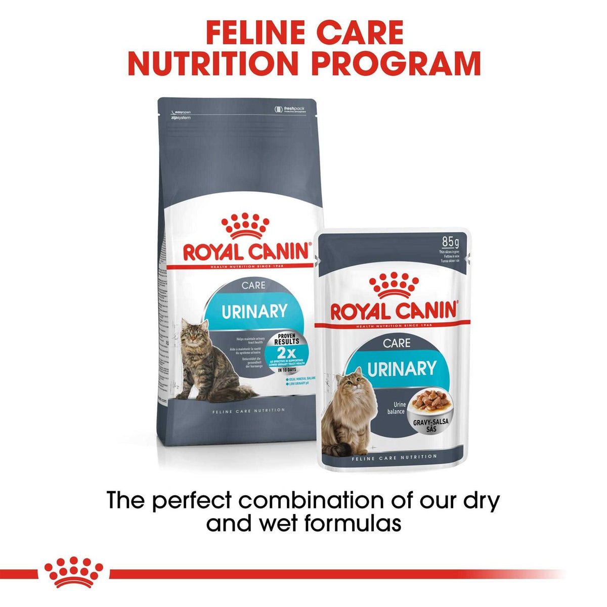 Wet Cat Food R726183