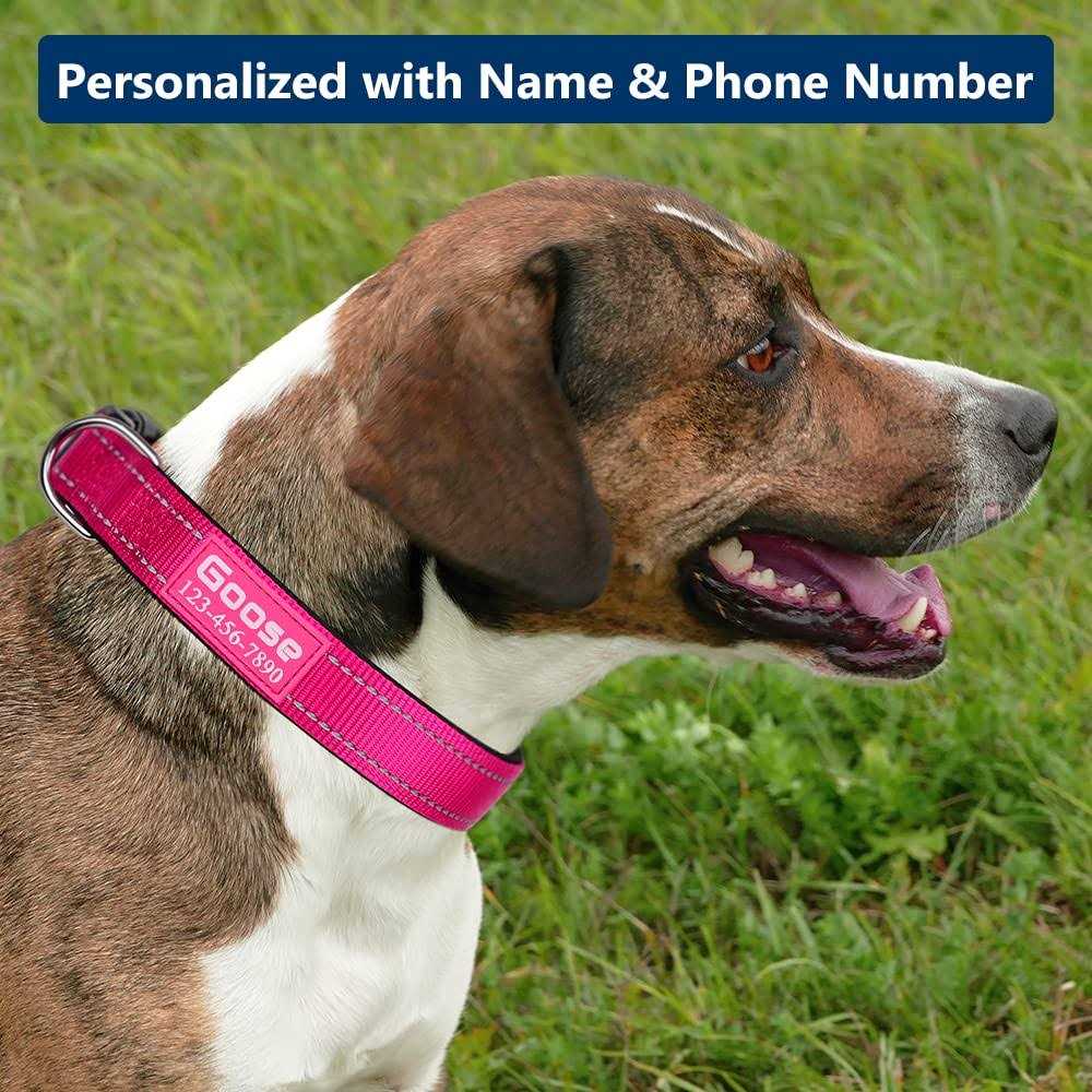 Reflective Nylon Dog Collar N7311