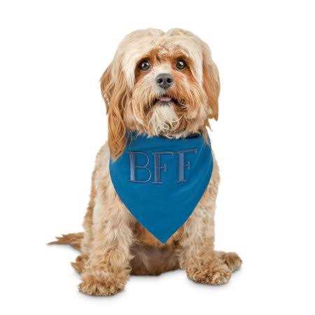 Small Animal Litter Scoop T94615