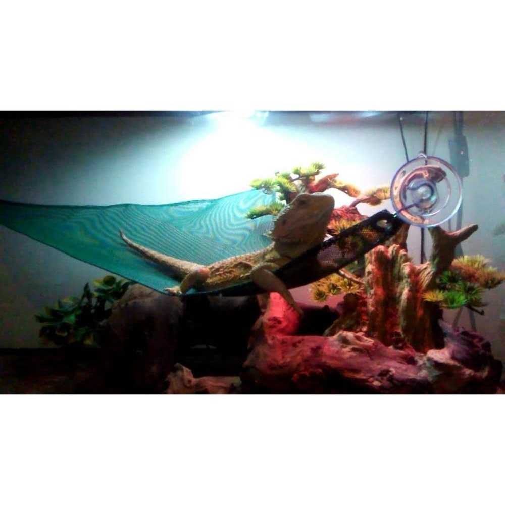 Reptile Hammock X675