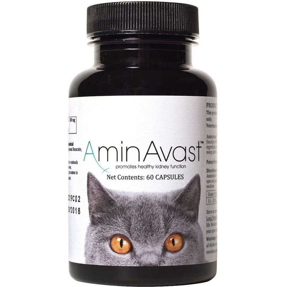 Kidney Support for Cats E504