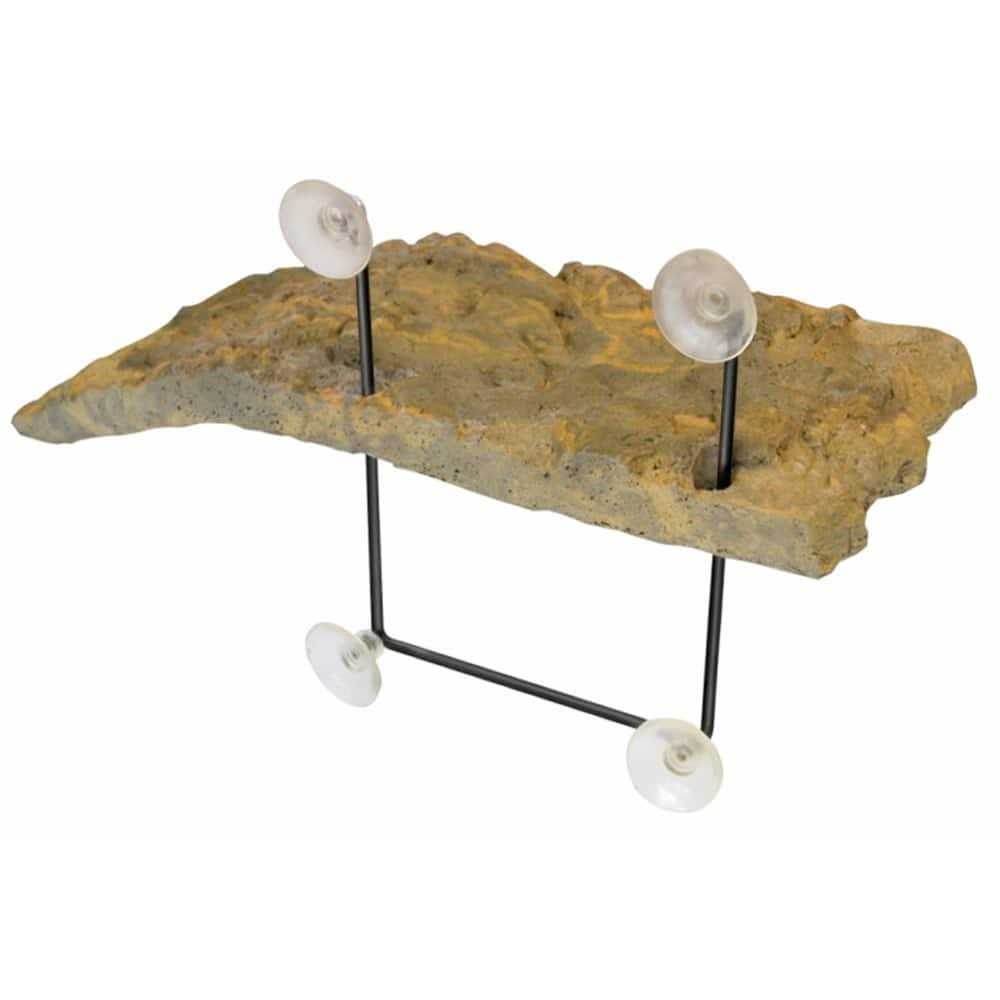 Turtle Dock Z263